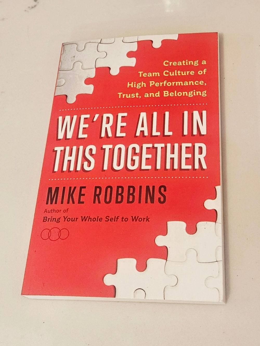 BOGO We’re All In This Together by Mike Robbins  Paperback Book